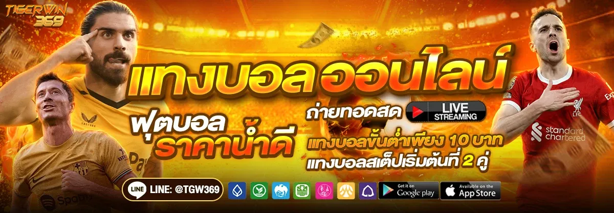 TIGERWIN369-3